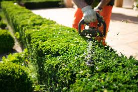 Garden Maintenance