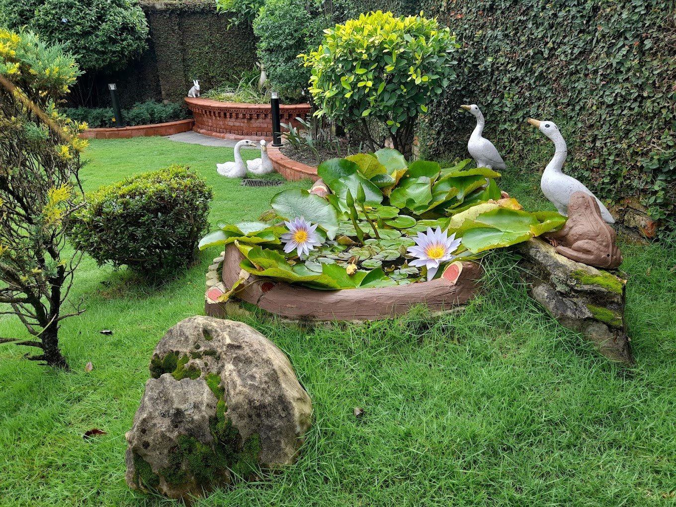 All Kinds of garden Work