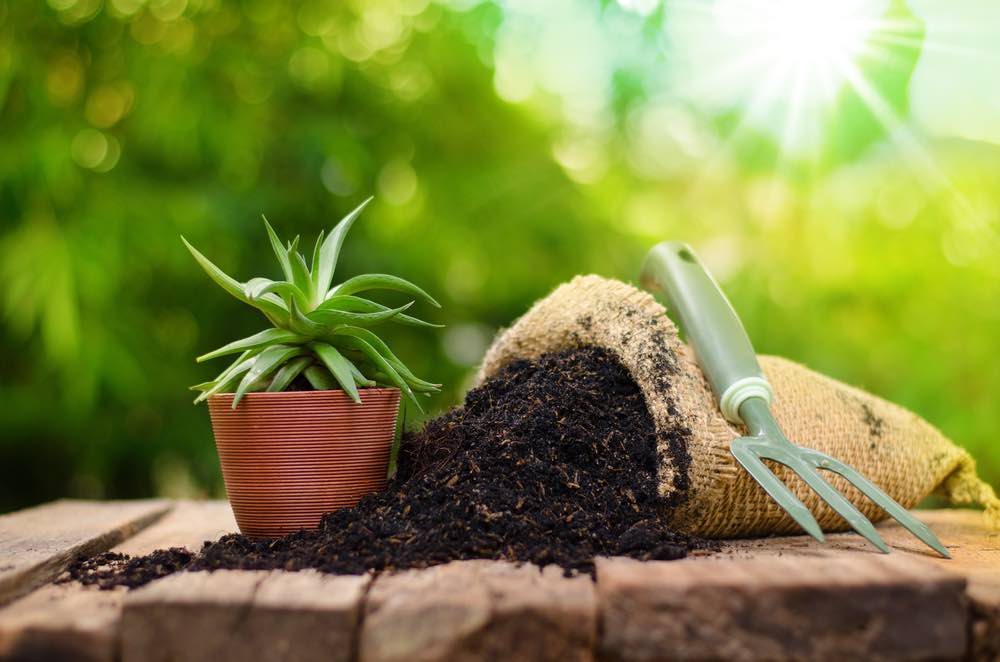 Organic Fertilizer